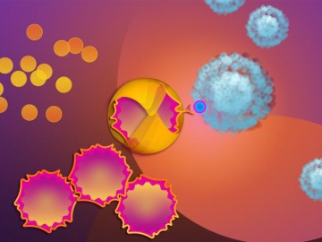Harnessing NK Cells: Advancing Cancer Therapy Beyond Boundaries