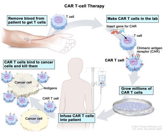 CAR-T THERAPY OVERVIEW (2)tch