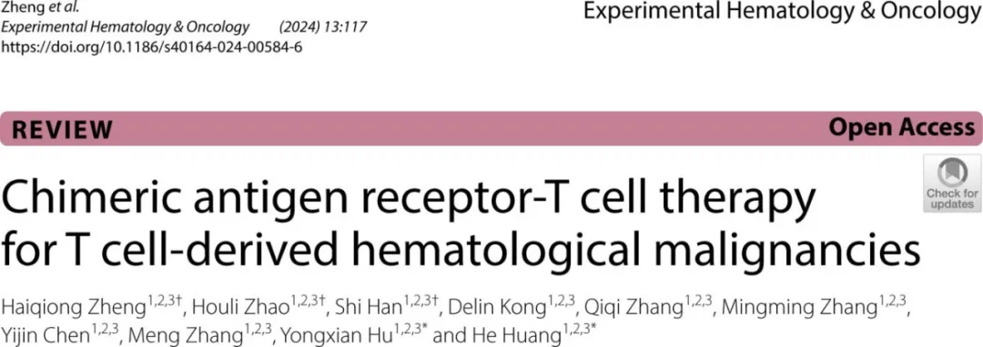 Overcoming Challenges in CAR-T Therapy for T-Cell Blood Cancers