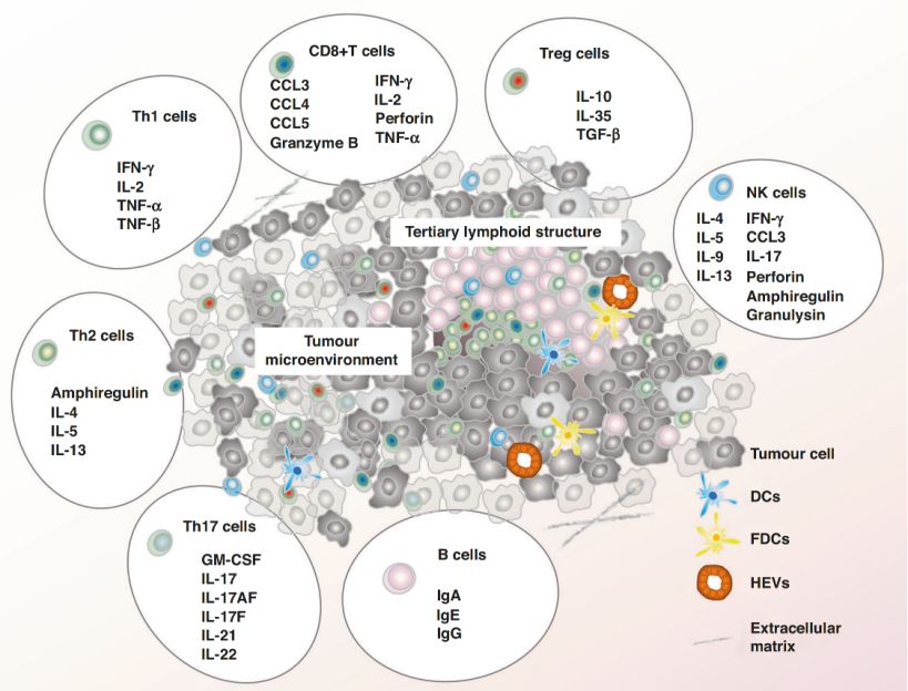 CAR-T THERAPY OVERVIEW (5)yz0
