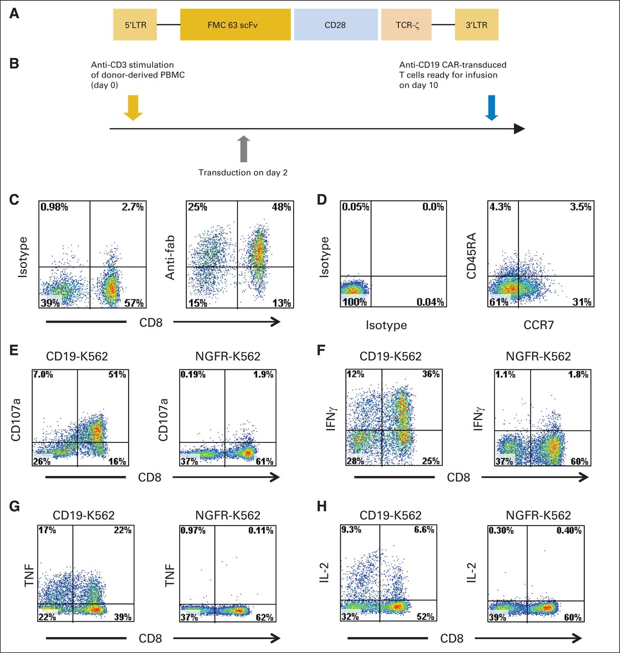 Managing the Side Effects of CAR-T Cell Therapy: Key Insights from Recent Research