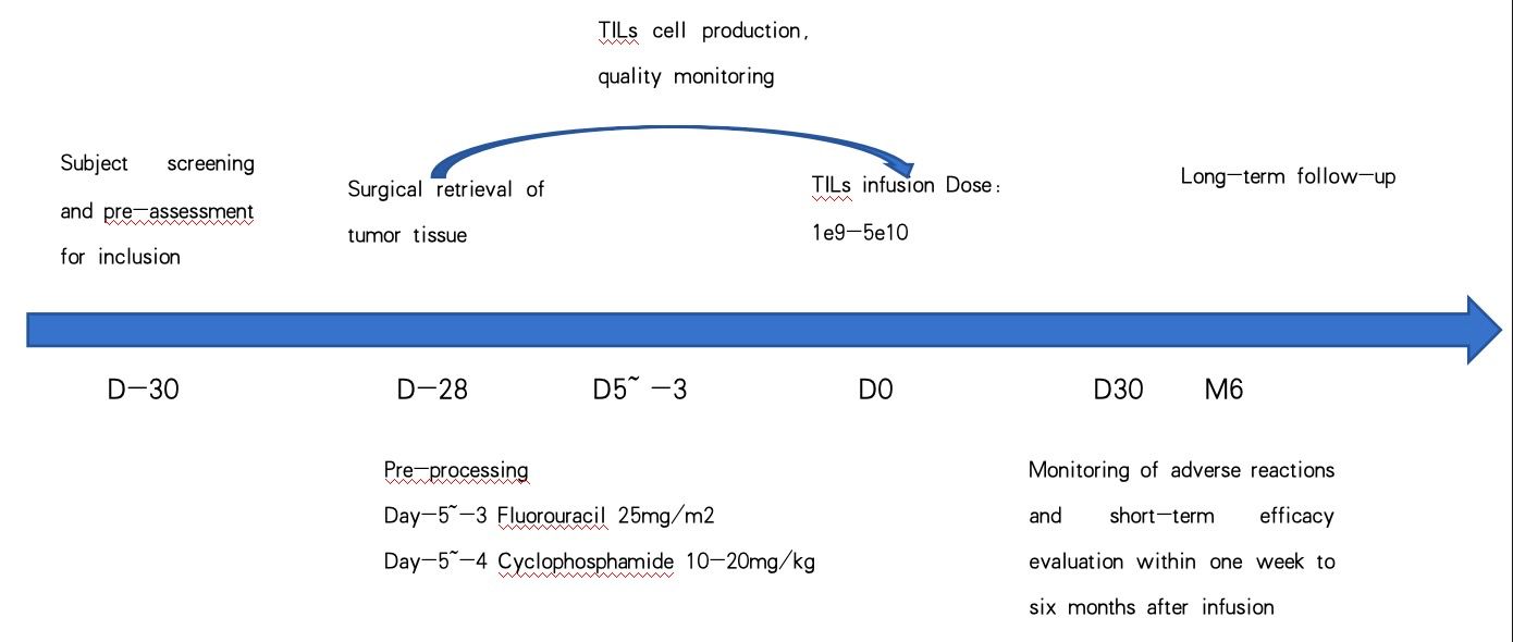 CAR-T THERAPY OVERVIEW (3)3yp
