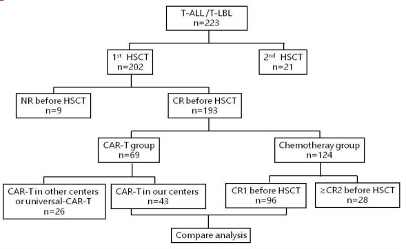 High Efficacy of CD7 CAR-T Therapy for B-Cell Malignancies: A Breakthrough in Cancer Treatment