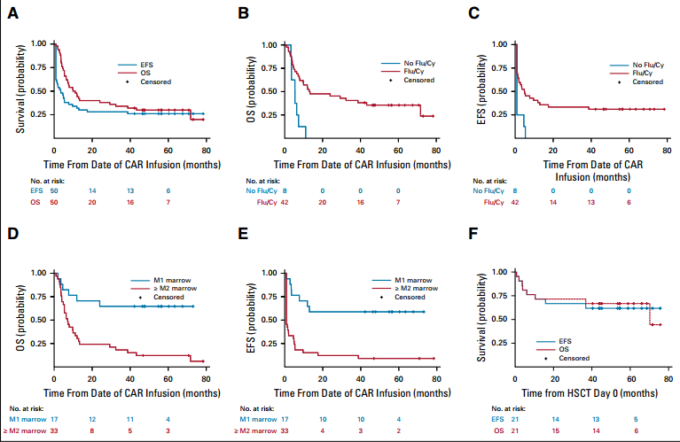 Long-Term Efficacy of CD19 CAR T-Cell Therapy in Treating Relapsed/Refractory Acute Lymphoblastic Leukemia