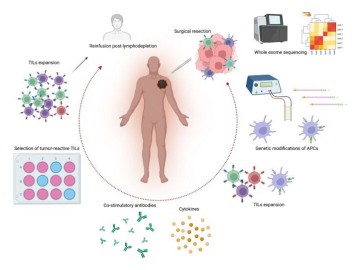 TIL Therapy Unveiled: Exploring the Landscape of Cancer Immunotherapy