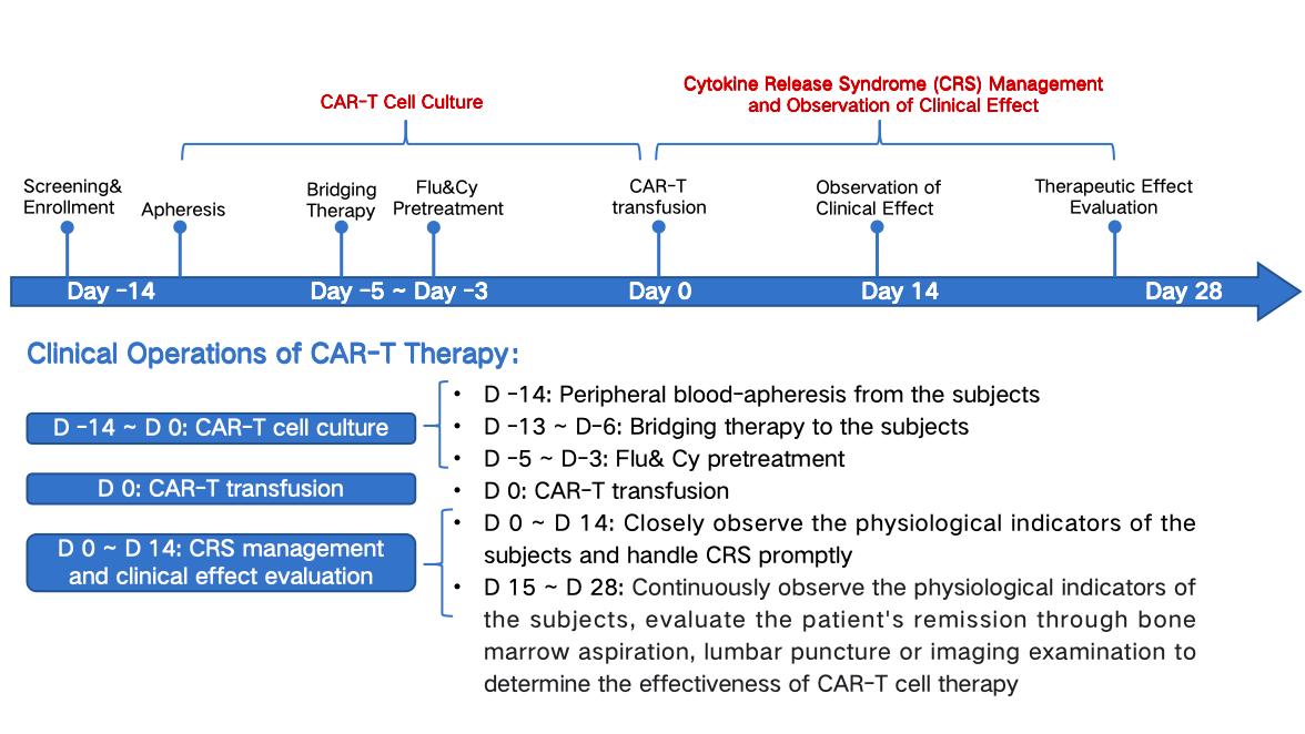 What is the treatment process of CAR-Tfya